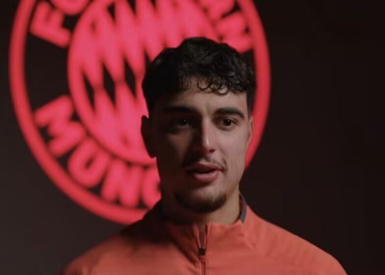 بافلوفيتش: مثلي الأعلى في كرة القدم في طفولتي كان كريستيانو رونالدو، وكان رقم زي الفريق الأول مطبوعًا مع فرانك ريبيري