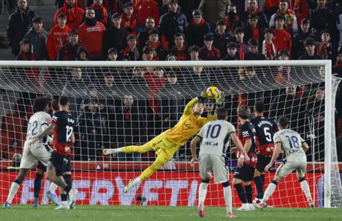 مايوركا ضد روبوست