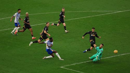 برايتون ضد وولفرهامبتون