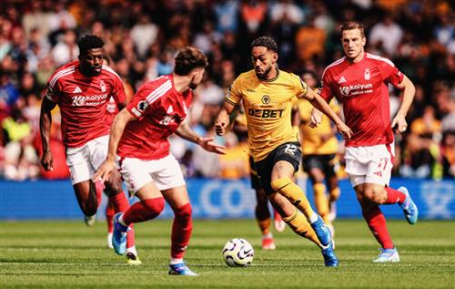 نوتنجهام فورست ضد وولفرهامبتون