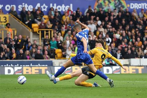 ولفرهامبتون vs ليستر سيتي