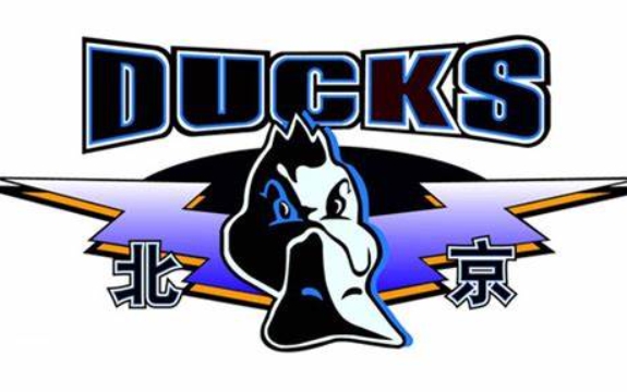 الإعلامي: تم تحديد ملاعب فريق بكين لكرة السلة للرجال للموسم الجديد لتكون ملعب شوقانغ آيس وصالة وو كيسونغ للألعاب الرياضية